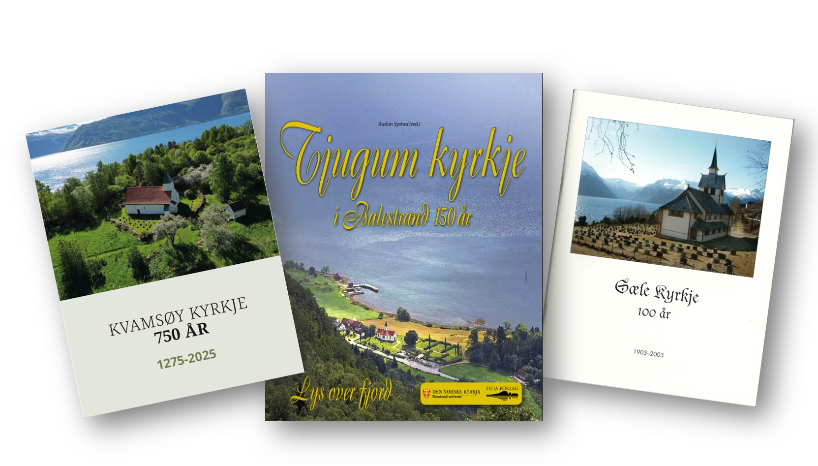 Bilder av dei ulike bøkene som er til sals